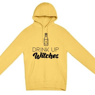 Up Witches Cauldron Brew Gift Premium Pullover Hoodie