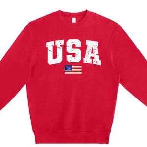 USA Women Men Kids Patriotic American Flag July 4th Premium Crewneck Sweatshirt