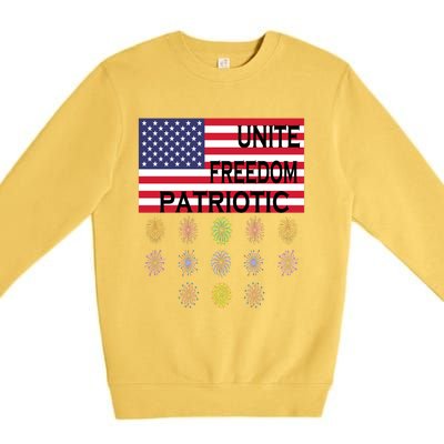 USA Women Men Patriotic American Flag 4th Of July Premium Crewneck Sweatshirt