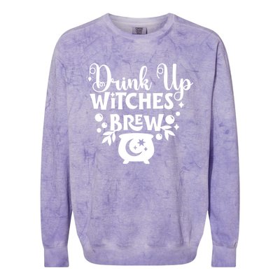 Up Witches Meaningful Gift Cheers Witches Up Witches Brew Cute Gift Colorblast Crewneck Sweatshirt