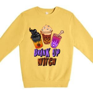 Up Witch S Outfit For Halloween Night And Gift Premium Crewneck Sweatshirt