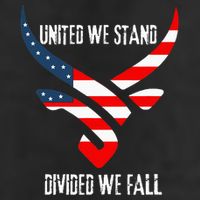 United We Stand Divided We Fall Usa Flag 11oz C Handle Ceramic Mug