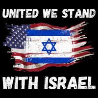 United We Stand With Israel Israeli American USA Flag Cooling Performance Crew T-Shirt