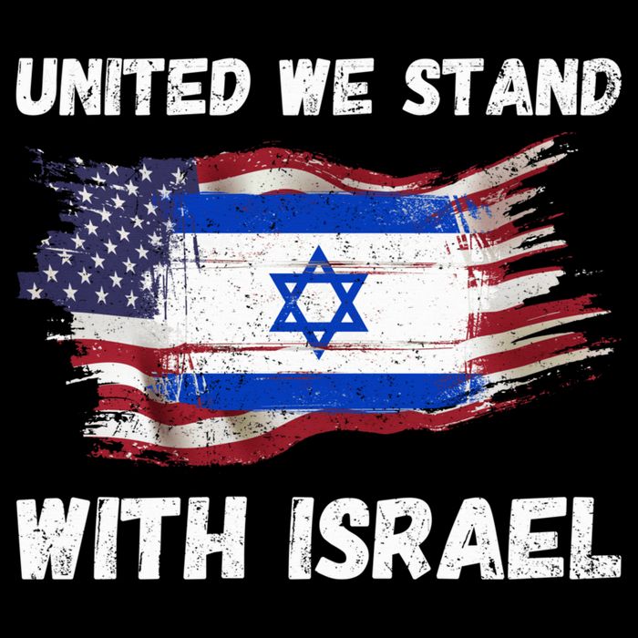 United We Stand With Israel Israeli American USA Flag Cooling Performance Crew T-Shirt
