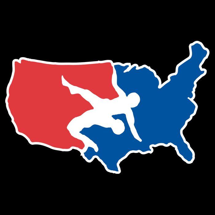 Usa Wrestling Flatbill Hat