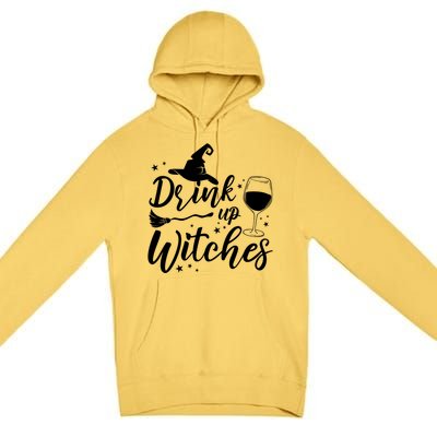 Up Witches Witch Hat Wine Glass Halloween Costume Gift Premium Pullover Hoodie