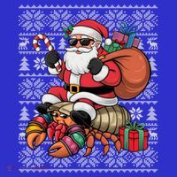 Ugly Xmas Style Santa Riding Hermit Crab Christmas Great Gift Premium T-Shirt