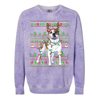 Ugly Xmas Sweater Style Lights American Bulldog Christmas Gift Colorblast Crewneck Sweatshirt