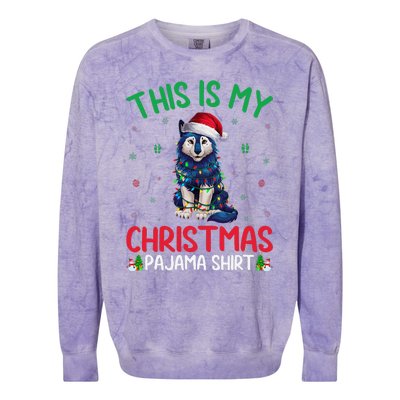 Ugly Xmas Tree Santa Alaskan Klee Kai Dog Christmas Pajama Colorblast Crewneck Sweatshirt