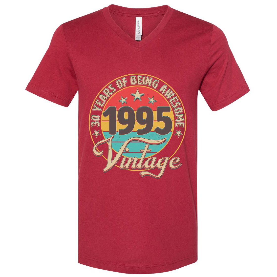 Vintage 1995 30 Years Of Being Awesome V-Neck T-Shirt