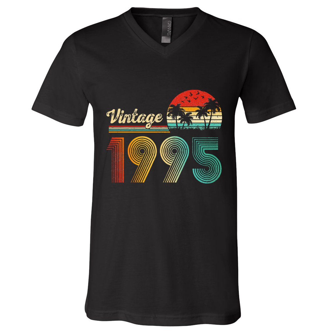 Vintage 1995 30th Birthday Funny Born In 1995 30 Year Old Gift V-Neck T-Shirt