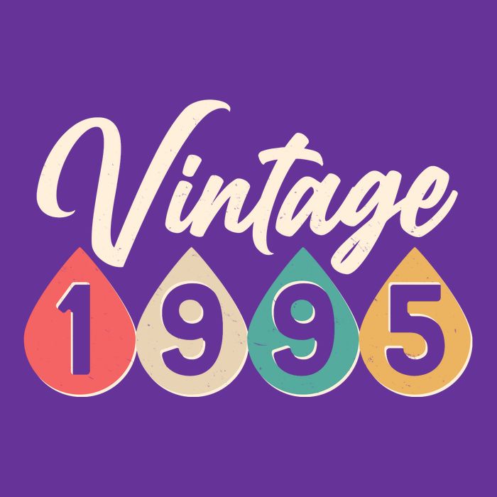 Vintage 1995 30th Birthday Retro Teardrop Design T-Shirt