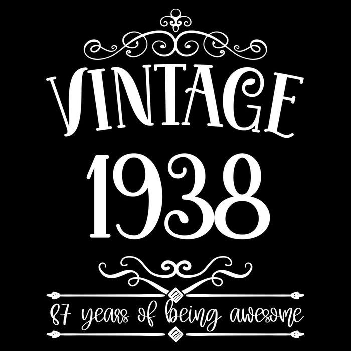 Vintage 1938 87 Years Of Being Awesome 87th Birthday Toddler T-Shirt