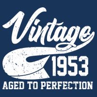 Vintage 1953 Aged To Perfection 70th Birthday USA-Made Doggie Bandana
