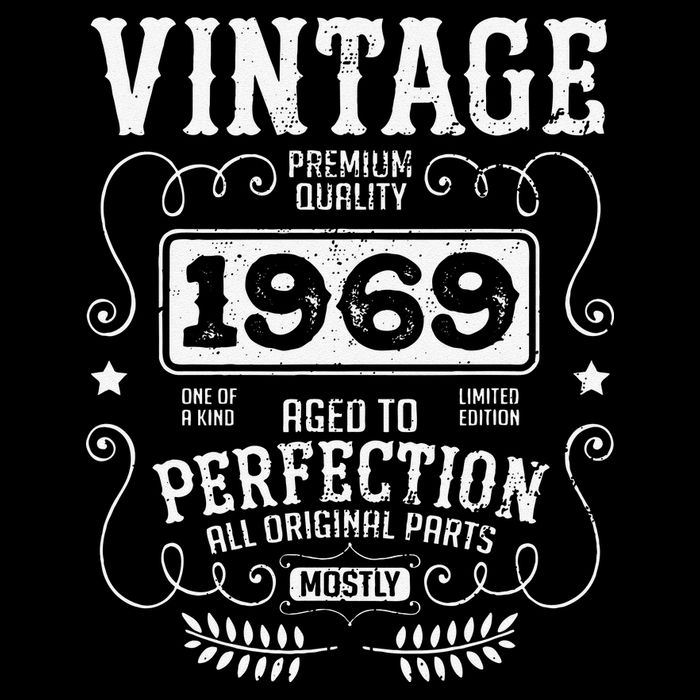 VINTAGE 1969 Birth Year Birthday Funny Quotes Retro Graphic Toddler Hoodie
