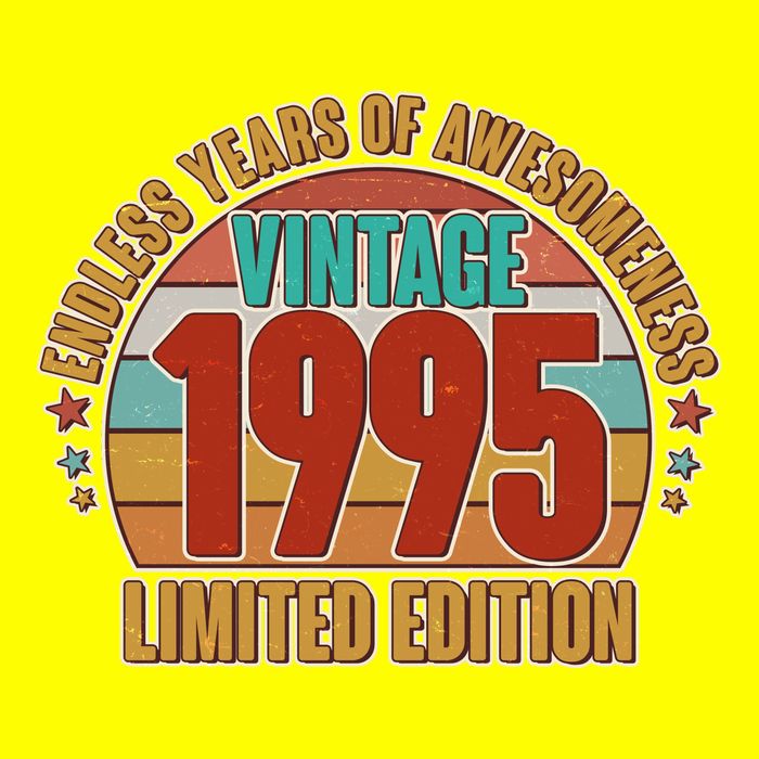 Vintage 1995 Endless Years Of Awesomeness Limited Edition 30th Birthday Long Sleeve Shirt