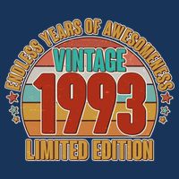 Vintage 1993 Endless Years Of Awesomeness Limited Edition 30th Birthday T-Shirt