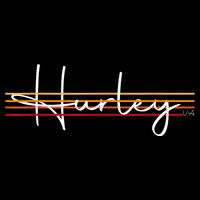 Vintage 1980s Graphic Style Hurley Virginia Kids T-Shirt