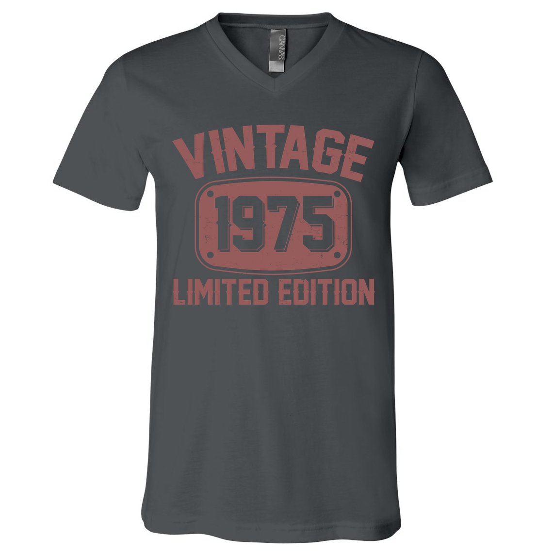 Vintage 1975 Limited Edition 50th Birthday V-Neck T-Shirt