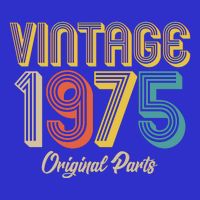 Vintage 1975 Original Parts 50th Birthday T-Shirt