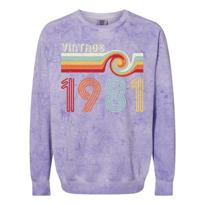 Vintage 1981 Retro Birthday Gift Colorblast Crewneck Sweatshirt