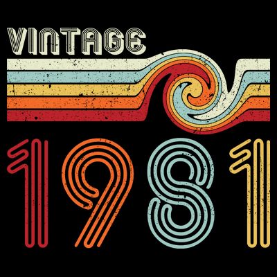 Vintage 1981 Retro Birthday Gift T-Shirt