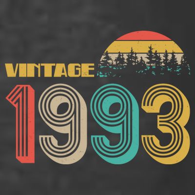 Vintage 1993 Sun Wilderness 30th Birthday T-Shirt
