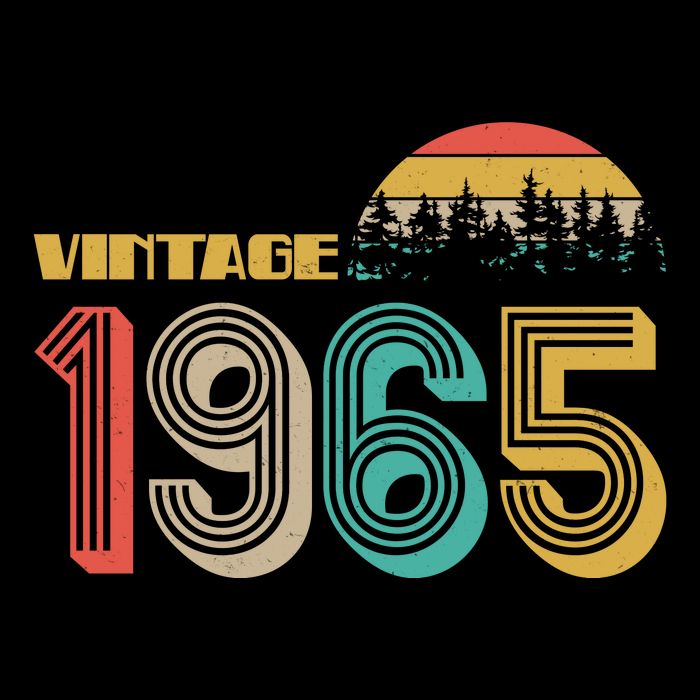Vintage 1965 Sun Wilderness 60th Birthday Baby Bodysuit