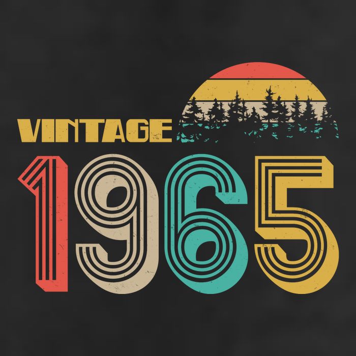 Vintage 1965 Sun Wilderness 60th Birthday Hat