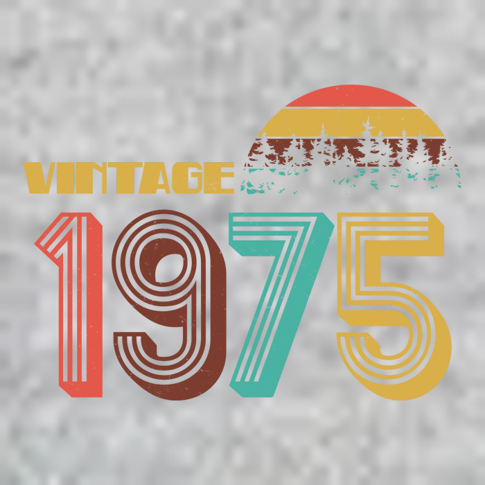 Vintage 1975 Sun Wilderness 50th Birthday T-Shirt