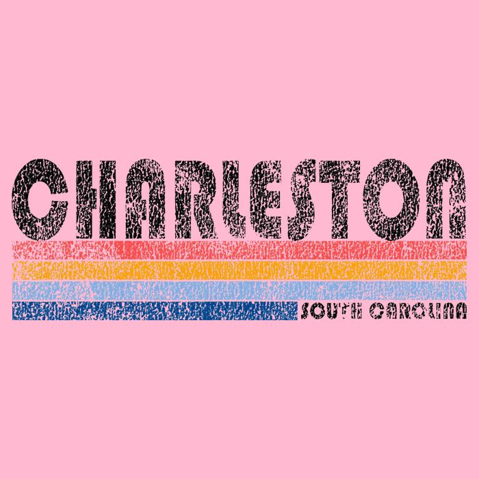 Vintage 1980s Style Charleston South Carolina Womens T-Shirt