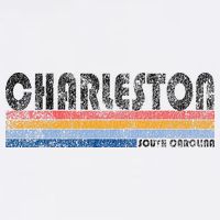 Vintage 1980s Style Charleston South Carolina Beanie