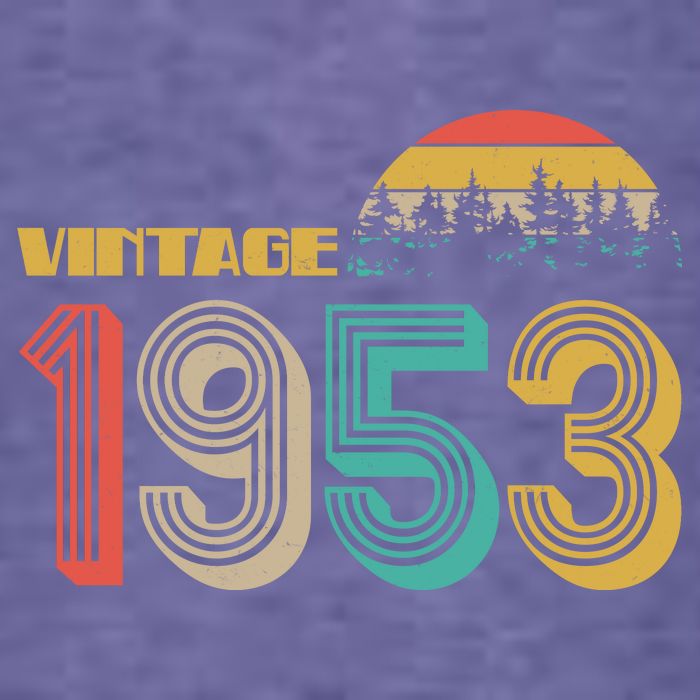 Vintage 1953 Sun Wilderness 70th Birthday Women's V-Neck T-Shirt