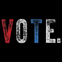 Vote 2020 Election Voting Right Vintage Style Visor