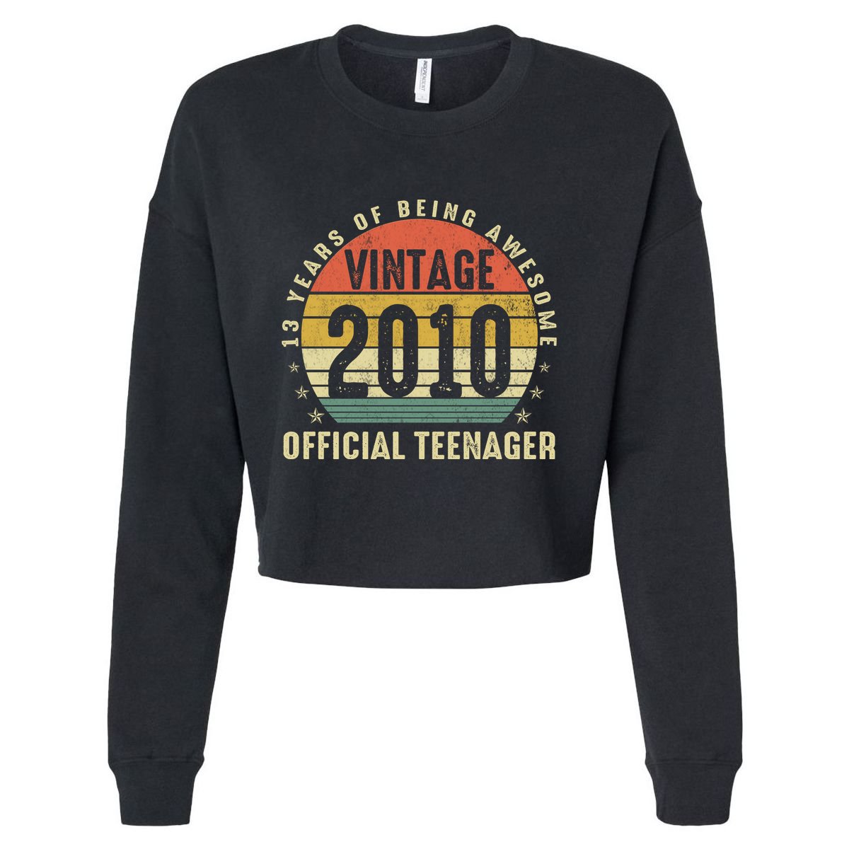 Vintage 2010 Official Teenager 13th Birthday Gifts 13 Yr Old Cropped Pullover Crew