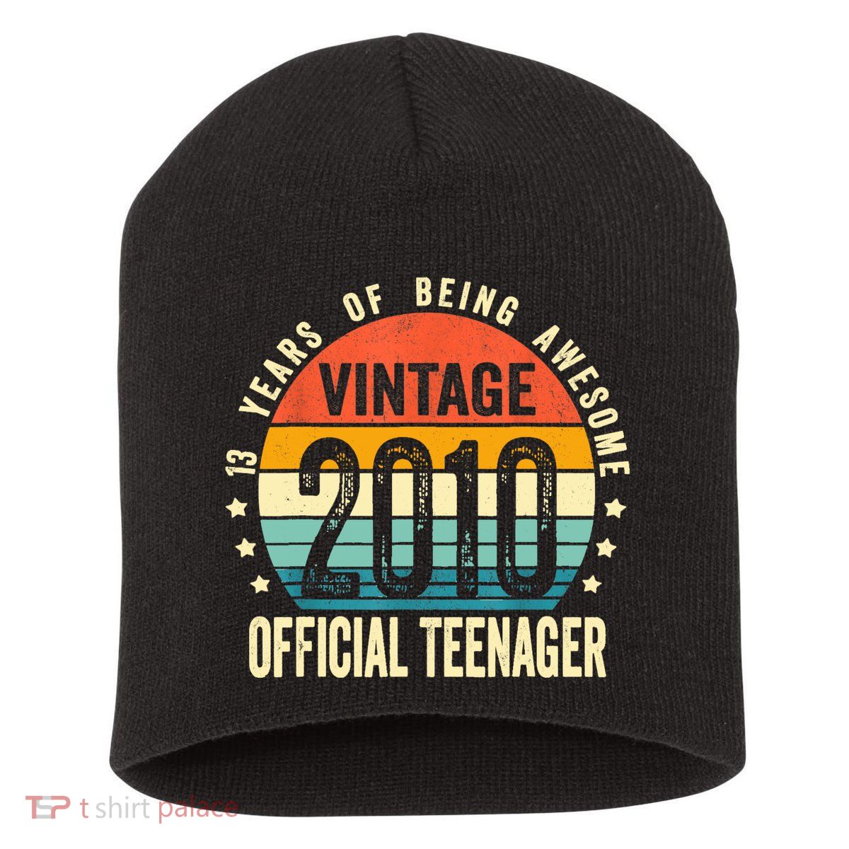 Vintage 2010 Official Teenager 13th Birthday Gifts 13 Yr Old Short Acrylic Beanie