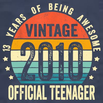Vintage 2010 Official Teenager 13th Birthday Gifts 13 Yr Old T-Shirt