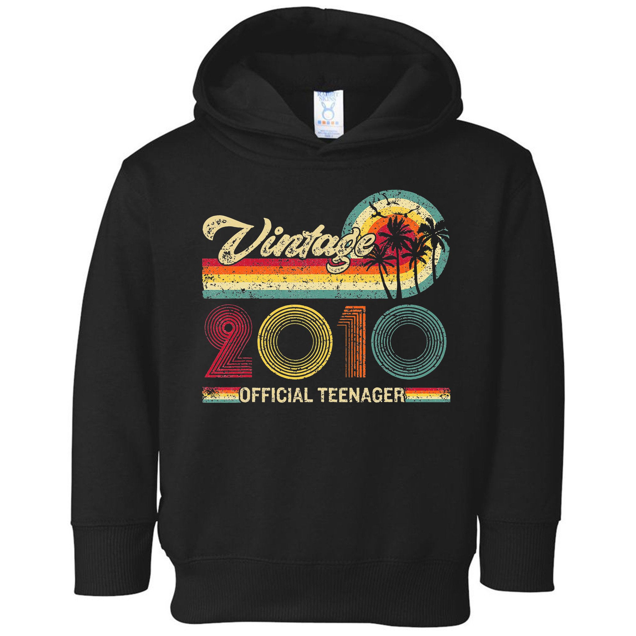 Vintage 2010 Official Teenager 13th Birthday Toddler Hoodie