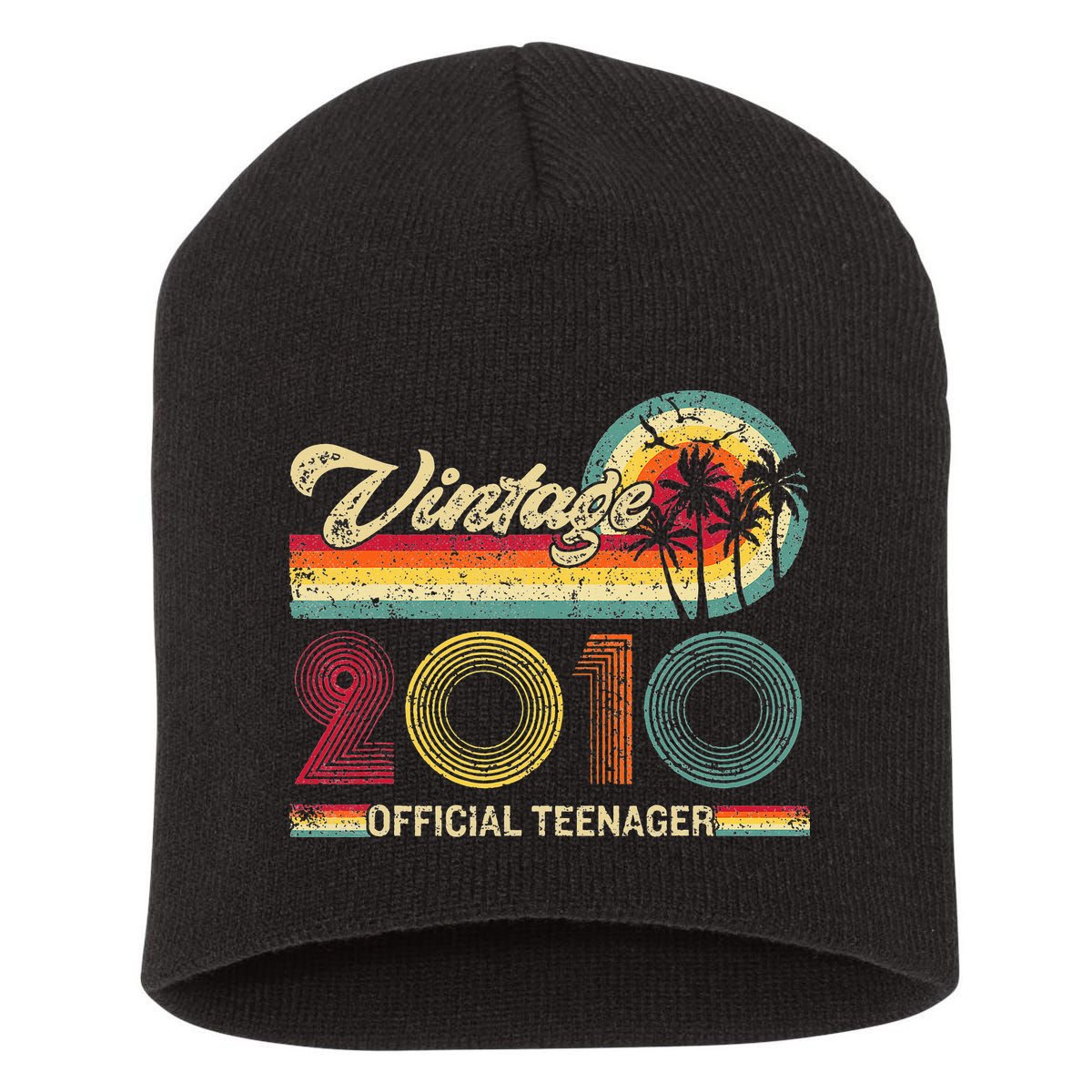 Vintage 2010 Official Teenager 13th Birthday Short Acrylic Beanie