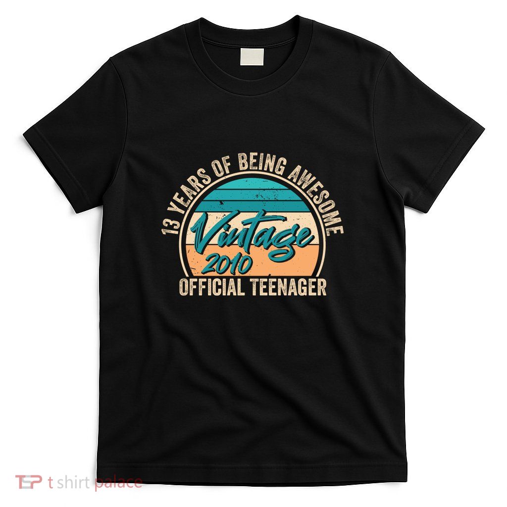 Vintage 2010 Officiall Teenager 13th Birthday T-Shirt