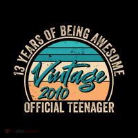 Vintage 2010 Officiall Teenager 13th Birthday T-Shirt