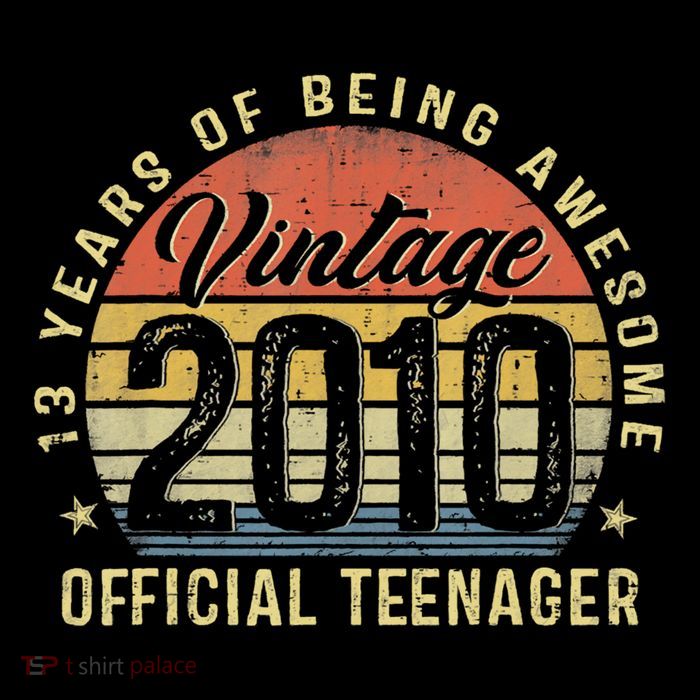 Vintage 2010 Teenager 13th Birthday Gifts 13 Yr Old T-Shirt