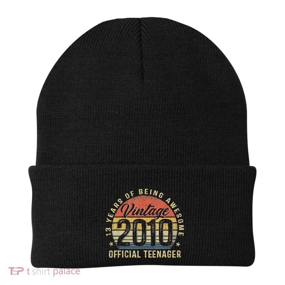 Vintage 2010 Teenager 13th Birthday Gifts 13 Yr Old Beanie