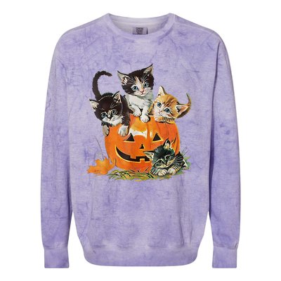 Vintage 90s Cat Pumpkin Halloween Retro Floral Spooky Season Colorblast Crewneck Sweatshirt