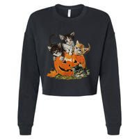 Vintage 90s Cat Pumpkin Halloween Retro Floral Spooky Season Cropped Pullover Crew