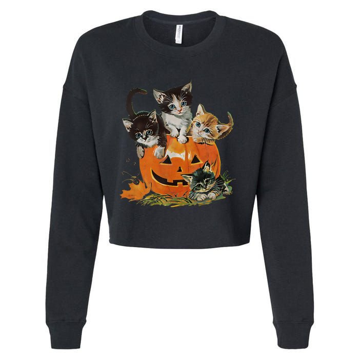 Vintage 90s Cat Pumpkin Halloween Retro Floral Spooky Season Cropped Pullover Crew