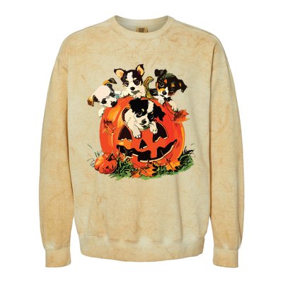 Vintage 90s Dog Retro Pumpkin Puppies Halloween Dog Lovers Colorblast Crewneck Sweatshirt