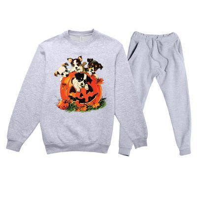 Vintage 90s Dog Retro Pumpkin Puppies Halloween Dog Lovers Premium Crewneck Sweatsuit Set