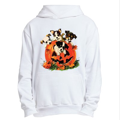 Vintage 90s Dog Retro Pumpkin Puppies Halloween Dog Lovers Urban Pullover Hoodie