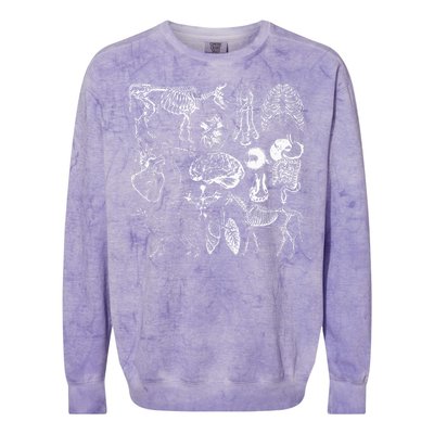 Veterinary Anatomy Animal Design Colorblast Crewneck Sweatshirt